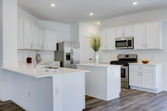 property at 10903 Water Hyssop Ln