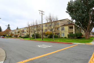 San Mateo Rotary Haciendas in San Mateo, CA - Building Photo - Building Photo