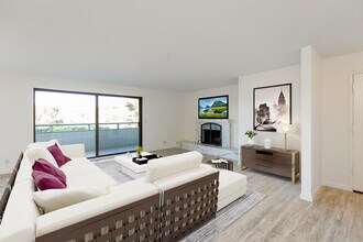 48 Lyford Dr in Belvedere Tiburon, CA - Building Photo - Building Photo