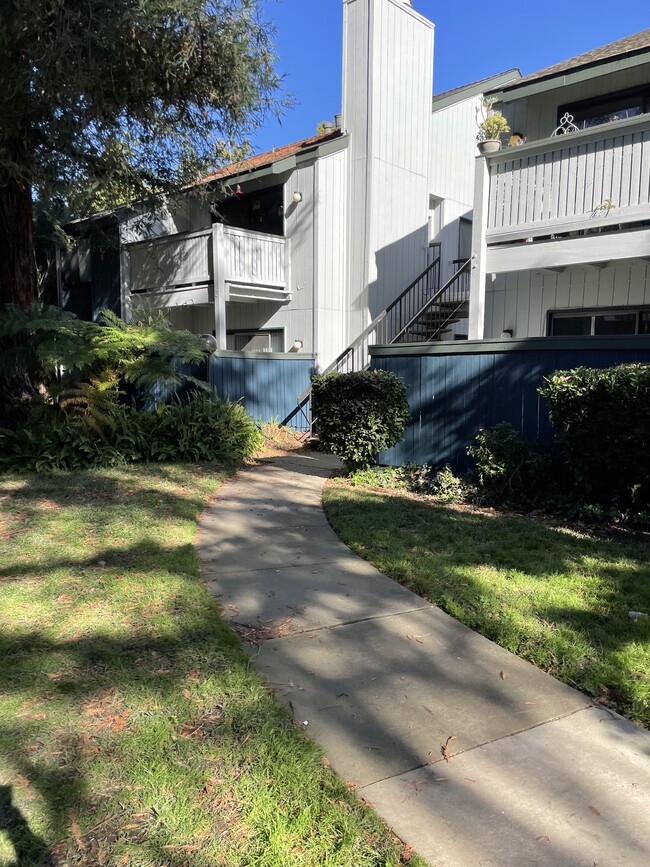 Water's Edge Apartments in Sacramento, CA - Building Photo - Building Photo