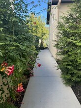 11686 W Triloba Dr in Star, ID - Building Photo - Building Photo