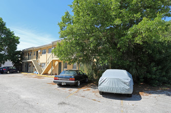 Palm View Apartments in Tampa, FL - Building Photo - Building Photo