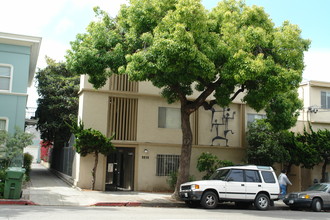 Durant Park Apartment in Berkeley, CA - Building Photo - Building Photo