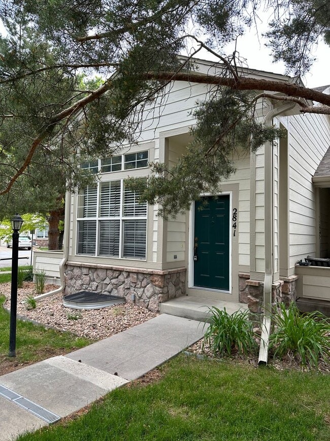 property at 2841 Whitetail Cir