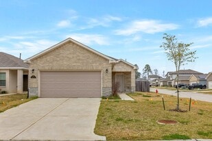 16751 Rover Ln in Porter, TX - Building Photo