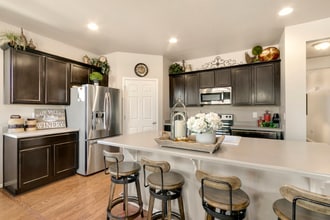 6782 Grainery Rd in Timnath, CO - Building Photo - Building Photo