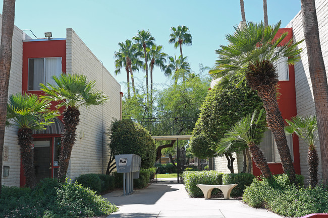 Catalina Vista in Tucson, AZ - Building Photo - Building Photo