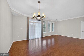 44063 Vaira Terrace in Chantilly, VA - Building Photo - Building Photo