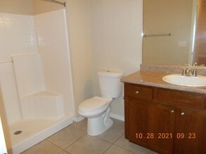 287 Mercado St in Durango, CO - Building Photo - Building Photo