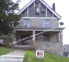 401 Jackson St in Rochester, PA - Building Photo