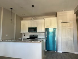 2009 W 21st Pl in Chicago, IL - Building Photo