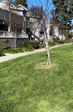 363 Shadow Run Dr in San Jose, CA - Building Photo - Building Photo