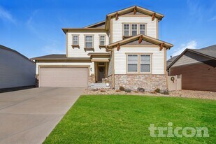 3911 Donnington Cir in Castle Rock, CO - Building Photo