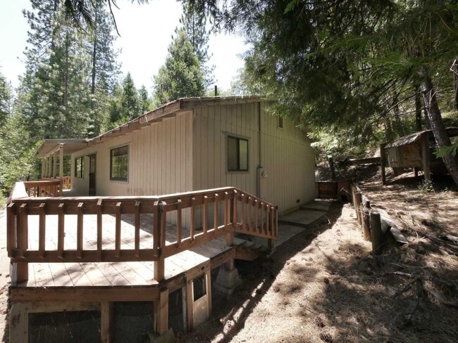1601 Lily Valley Way in West Point, CA - Building Photo - Building Photo