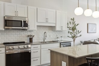 Wicklowe Apartments in Rosemount, MN - Building Photo - Building Photo