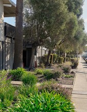 Bay Terrace in San Mateo, CA - Foto de edificio - Building Photo