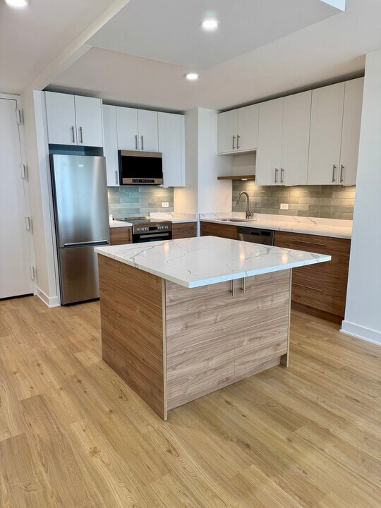 1636 N Wells St, Unit 2003 in Chicago, IL - Building Photo