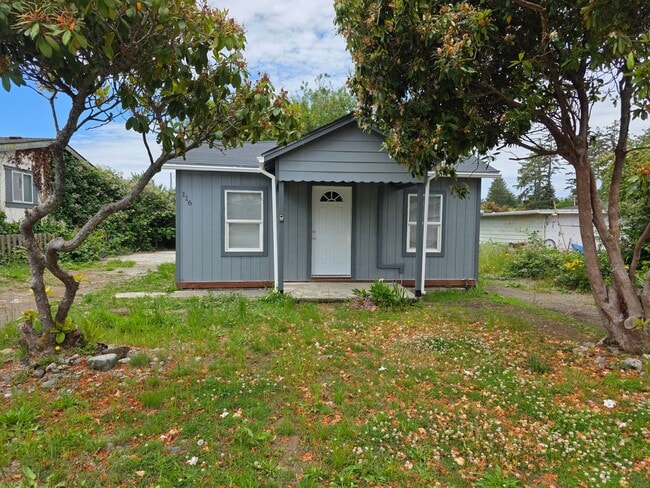 property at 116 Olive St