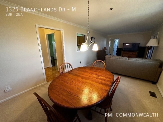 1325 Branchlands Dr in Charlottesville, VA - Building Photo - Building Photo