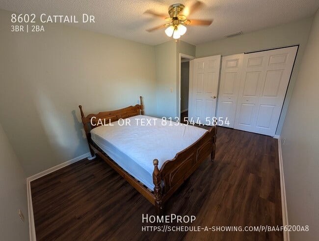8602 Cattail Dr in Tampa, FL - Building Photo - Building Photo