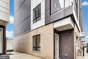 113 Olive St in Philadelphia, PA - Building Photo