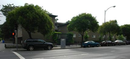 University Apartments in San Jose, CA - Building Photo - Building Photo