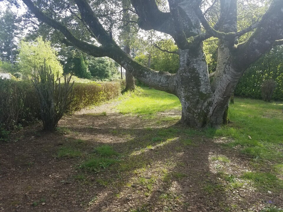 90921 Libby Ln in Coos Bay, OR - Building Photo