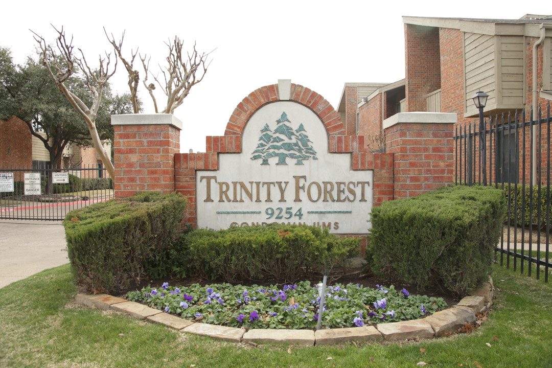 Trinity Forest Complex in Dallas, TX - Building Photo