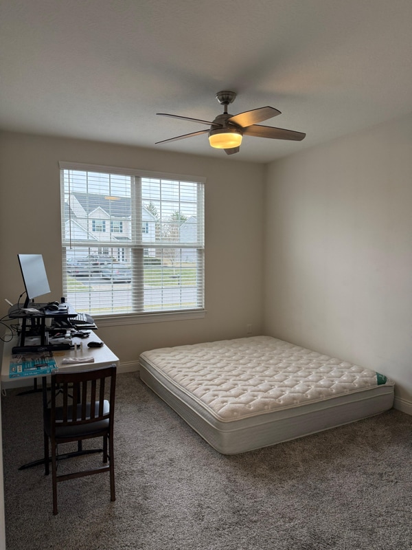 10054 Viburnum Dr in Plain City, OH - Foto de edificio - Building Photo