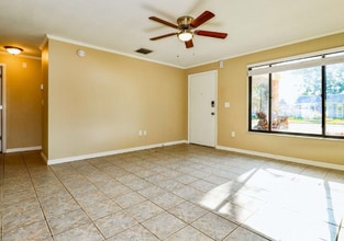 1800 Loch Haven Ct in Trinity, FL - Building Photo - Building Photo