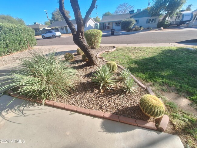 7642 E Avalon Dr in Scottsdale, AZ - Building Photo - Building Photo