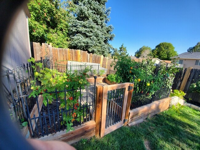 property at 1496 S Cathay Way