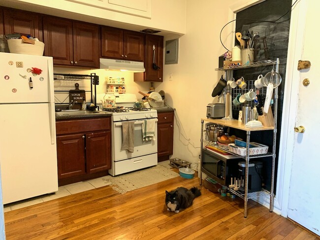 153 Brighton Ave, Unit 1 in Boston, MA - Building Photo - Building Photo