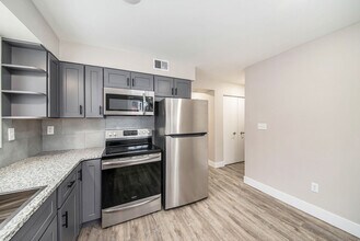 174 S Fremont St NE, Unit 1 in Rockford, MI - Building Photo - Building Photo