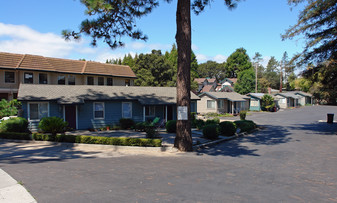 4203 Scotts Valley Dr Apartments