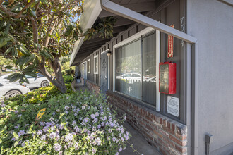 Walnut Oaks Apartments in Citrus Heights, CA - Building Photo - Building Photo