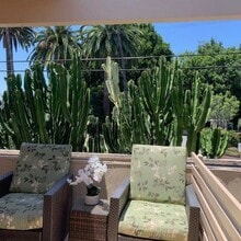 Newly Renovated - The Copa Apartments in Los Angeles, CA - Building Photo - Building Photo