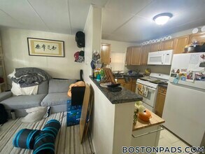 57 Cedar St, Unit 1 in Cambridge, MA - Building Photo - Building Photo
