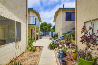 Ivy Lane Manor Apartments in Imperial Beach, CA - Building Photo - Building Photo