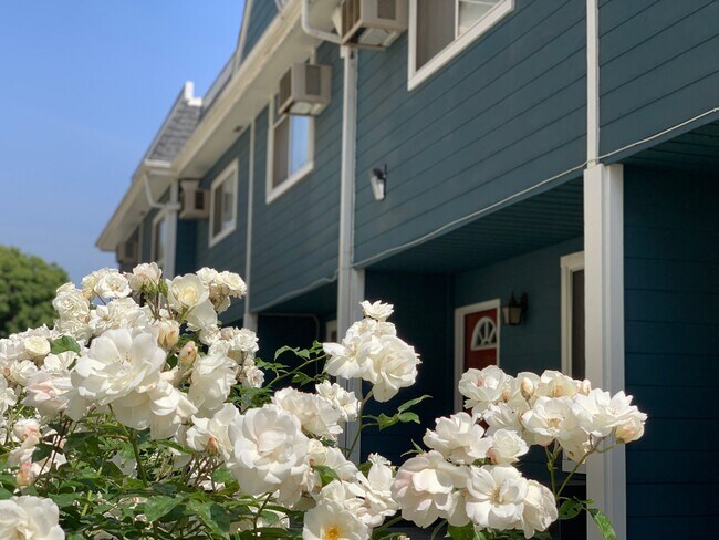 Queen Anne Townhomes in Los Angeles, CA - Foto de edificio - Building Photo
