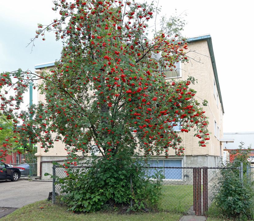 Astoria Apartments in Edmonton, AB - Building Photo