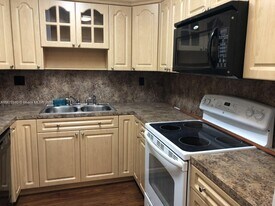 19558 NW 55th Circle Pl in Miami Gardens, FL - Building Photo