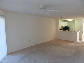 4115 Chatham Oak Ct in Tampa, FL - Building Photo - Building Photo