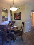 Building Photo - The Park at Via Roma Apartments in Daytona Beach, Florida