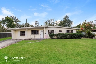 6022 Chenango Ln in Orlando, FL - Building Photo