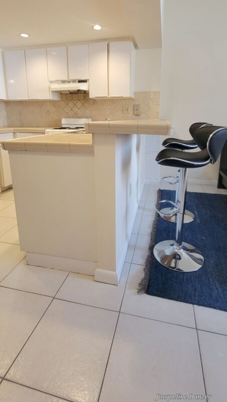 540 Brickell Key Dr in Miami, FL - Building Photo - Building Photo