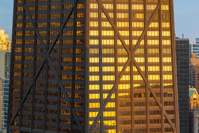 175 E Delaware Pl in Chicago, IL - Building Photo - Building Photo