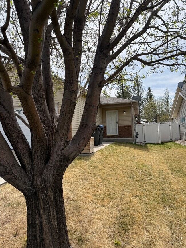 4427 Springer Ct in Cheyenne, WY - Building Photo - Building Photo