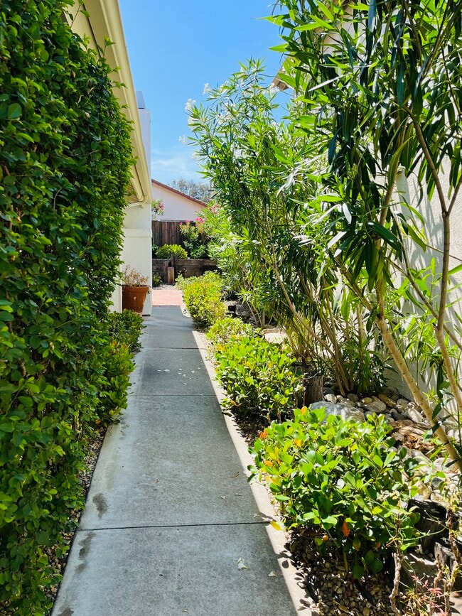 15853 Windrose Way in San Diego, CA - Building Photo - Building Photo