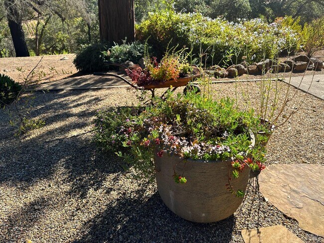 926 Champion Ln in Deer Park, CA - Building Photo - Building Photo